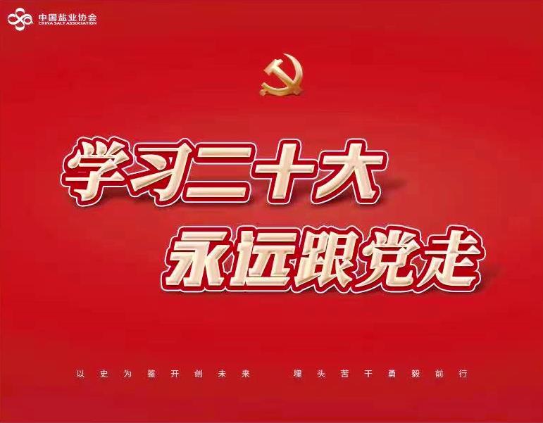 中国盐业协会党支部组织收看学习贯彻 党的二十大精神中央宣讲团报告会